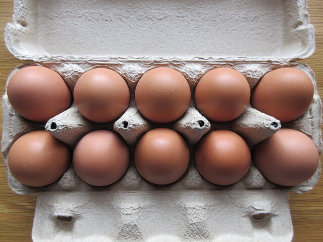 水野谷鶏卵店（ミズノヤケイランテン） - 矢吹（その他）の写真