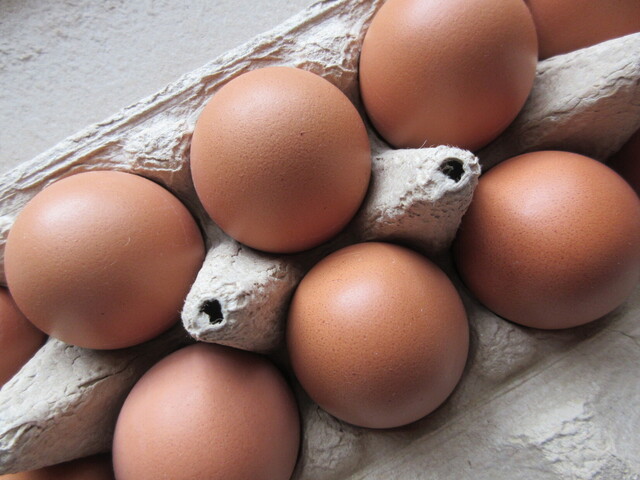 水野谷鶏卵店（ミズノヤケイランテン） - 矢吹（その他）の写真