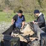 TEPPAN羊SUNRISE - 国産羊肉は24人の羊飼いから直接仕入れ