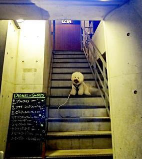grandishcafe IZM - 階段で２Fへ〜♬