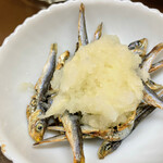 有限会社桝屋酒店   - ジャコおろし