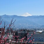 長生閣 - 富士山が見える梅園です