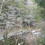 アルカナイズ - 部屋からの眺め