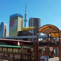 浅草むぎとろ 本店 - 
