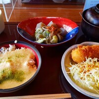 浅草むぎとろ 本店 - 