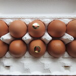 農場の家 - 恵壽卵