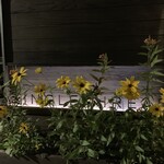 SingleThread Farms - 