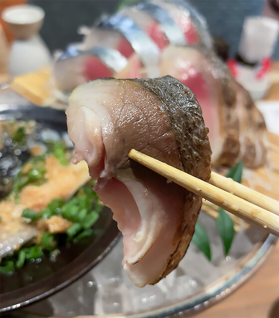 Sanchoku Saba to Aozakana Fushimi Aoi