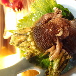 Takeichi - 2012年8月撮影