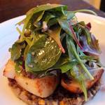 ビーボ デイリースタンド - 「帆立貝柱のポワレとレンズ豆のサラダ」：レンズ豆は野菜の旨味をたたえて芳醇！プリップリの帆立との対比も見事！