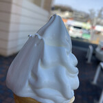 スガキヤ - 料理写真: