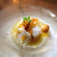 RESTAURANT DAZZLE - 水タコにとびこを乗せたカッペリーニ