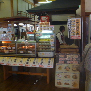 白川園 七宗御殿_2