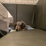 ラステイクス - 