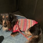 ラステイクス - 