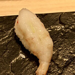 鮨榮 - ぼたんえび