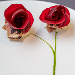 プレゼンテ スギ - 