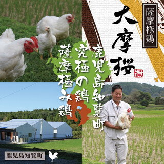 [Proud local chicken] Satsuma Kiwami chicken “Daimaou”
