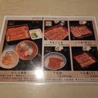うなぎ 目白ぞろ芽 - 