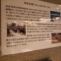 うなぎ 目白ぞろ芽 - 