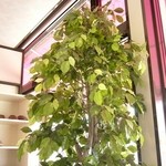 ウィンドー - お店内です(9/6UP)