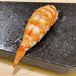 鮨 心白 - 猪の次は車海老　八代産の極上品でした