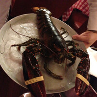 グランド・セントラル・オイスターバー&レストラン 品川店 - 