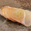 Sushi Sakamoto - 淡路島 真鯛