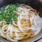 花咲く、さくらうどん - 