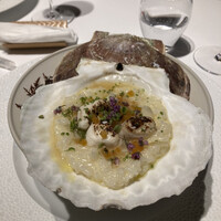 レフェルヴェソンス - 