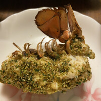 メルモーゾ ダ ドロカワ - 