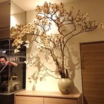 イル アオヤマ - 