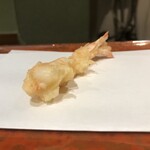 江戸前晋作 - 車海老　20秒仕上げ