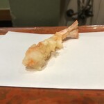 江戸前晋作 - 車海老　10秒仕上げ