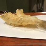 江戸前晋作 - 3日寝かせた鱚