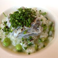 サーラ アマービレ - 駿河湾産　生シラスと茶豆　クレソンのリゾット