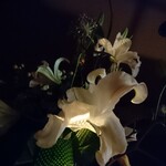 エスプリモダン めろん - 