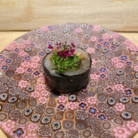 宇田津 鮨 - 