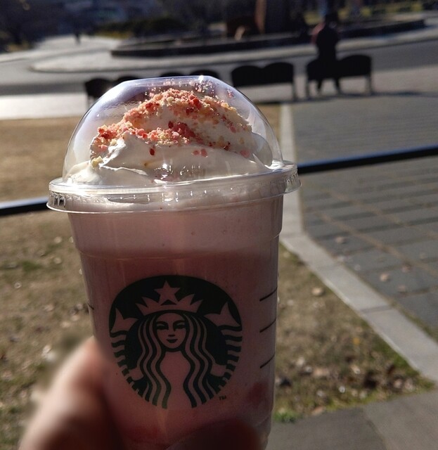 スターバックス コーヒー 大阪城公園森ノ宮店 Starbucks Coffee 森ノ宮 カフェ 食べログ