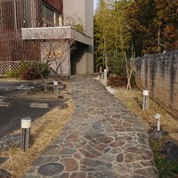 紗羅餐 本店 - 