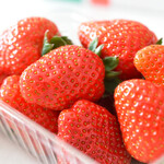 白華の郷 - おいCベリー