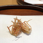 天麩羅 四季彩 村松 - ふっくらサクサクのさいまき海老の頭