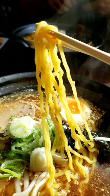 らーめん かねこ屋 - 苫小牧（ラーメン）の写真