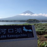 河口湖から臨む富士
