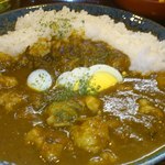 Aji yoshi - ホルモンカレー８００円