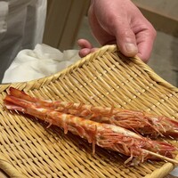 鮨 青海 青山店 - 車海老