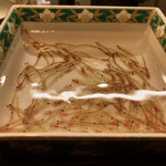 遊酒食堂 宇都宮 - シロウオ