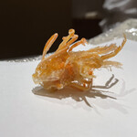 にい留 - 車海老脚