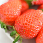 白華の郷 - やよいひめ