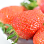 白華の郷 - やよいひめ